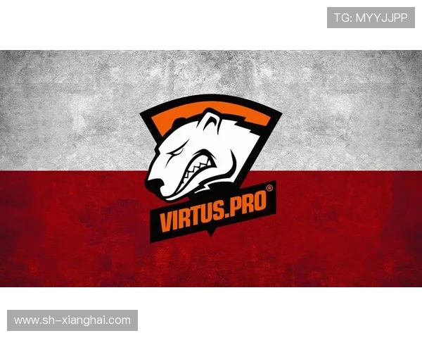 CSGO战术解析:深入探讨LNG战队的团队协作与配合技巧