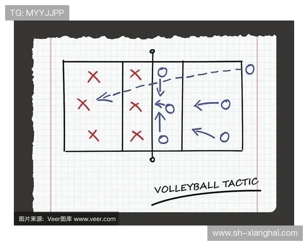 武汉排球队的转换打法深度分析与战术创新探讨